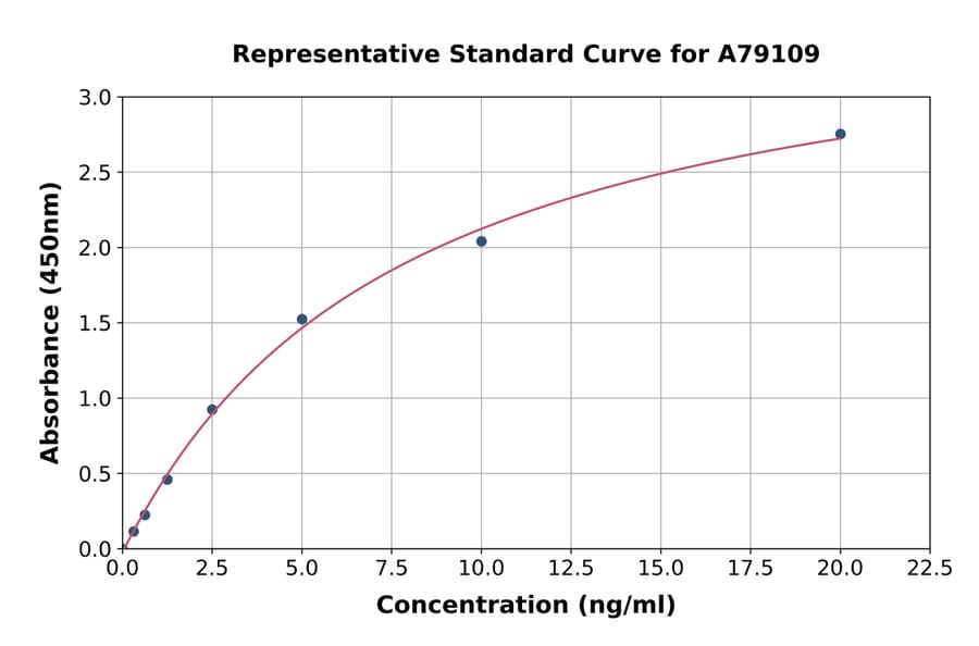 Standard Curve - Rat Annexin V/ANXA5 ELISA Kit (A79109) - Antibodies.com