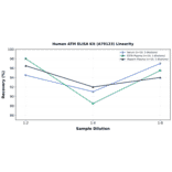 Linearity - Human ATM ELISA Kit (A79123) - Antibodies.com