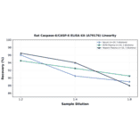 Linearity - Rat Caspase-6/CASP-6 ELISA Kit (A79176) - Antibodies.com