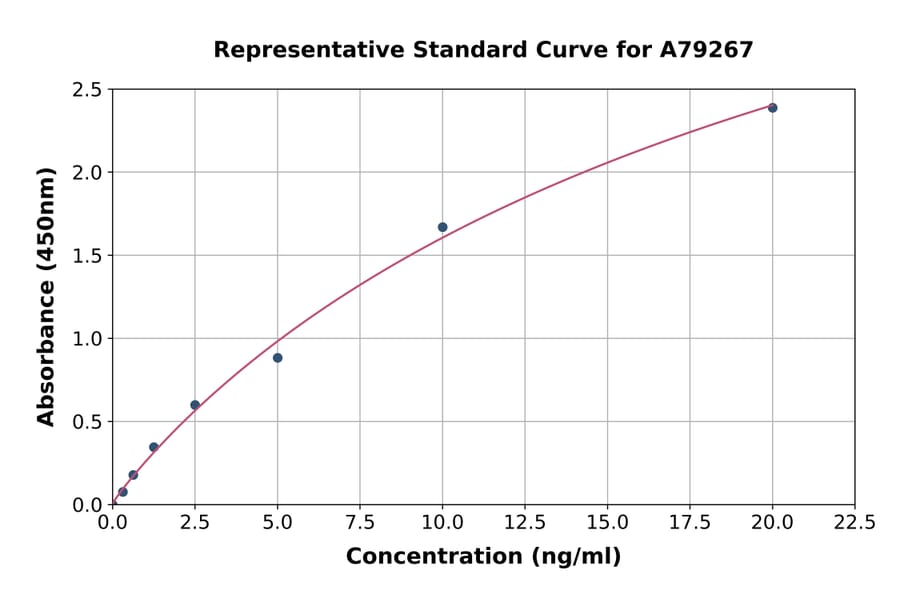 Standard Curve - Human DDT ELISA Kit (A79267) - Antibodies.com