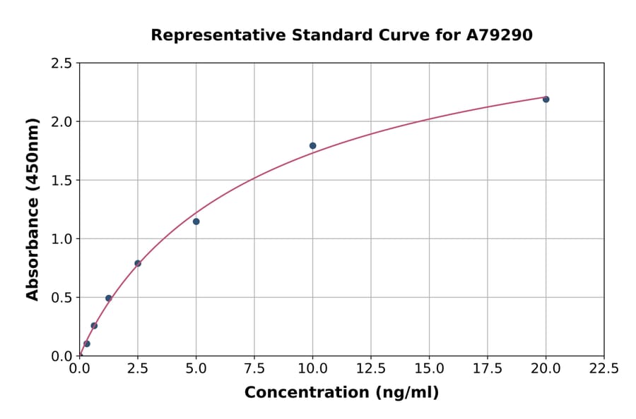 Standard Curve - Human EN2 ELISA Kit (A79290) - Antibodies.com
