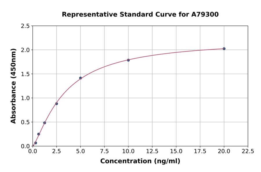 Standard Curve - Rat ErbB2/HER2 ELISA Kit (A79300) - Antibodies.com