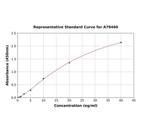 Standard Curve - Human IgE ELISA Kit (A79460) - Antibodies.com