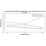 Linearity - Rat Phospholipid Phosphatase-Related Protein Type 1/LPPR1 ELISA Kit (A79514) - Antibodies.com