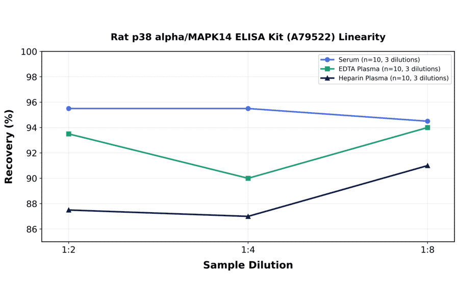 Linearity - Rat p38 alpha/MAPK14 ELISA Kit (A79522) - Antibodies.com
