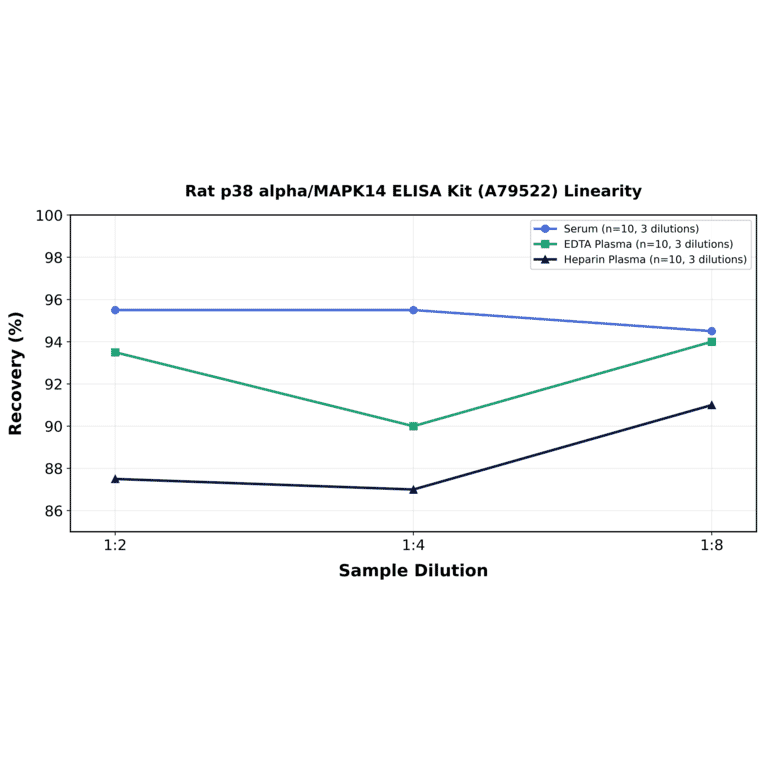 Linearity - Rat p38 alpha/MAPK14 ELISA Kit (A79522) - Antibodies.com