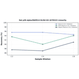 Linearity - Rat p38 alpha/MAPK14 ELISA Kit (A79522) - Antibodies.com