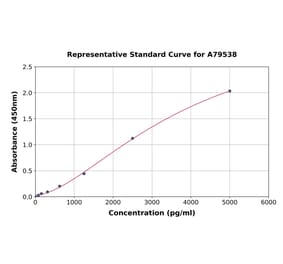 Standard Curve - Rat MMP9 ELISA Kit (A79538) - Antibodies.com