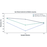 Linearity - Rat POLA2 ELISA Kit (A79649) - Antibodies.com