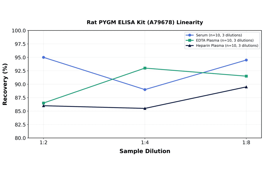 Linearity - Rat PYGM ELISA Kit (A79678) - Antibodies.com
