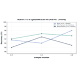 Linearity - Human 14-3-3 sigma/SFN ELISA Kit (A79705) - Antibodies.com