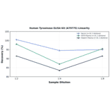 Linearity - Human Tyrosinase ELISA Kit (A79775) - Antibodies.com