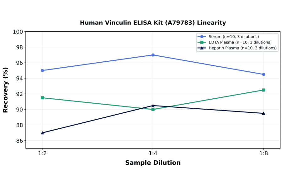 Linearity - Human Vinculin ELISA Kit (A79783) - Antibodies.com