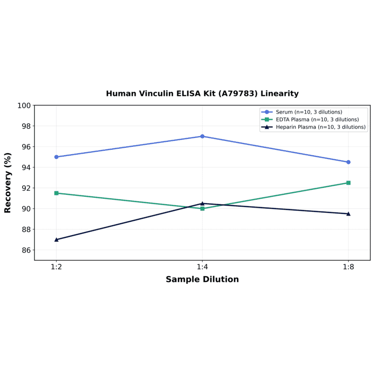 Linearity - Human Vinculin ELISA Kit (A79783) - Antibodies.com