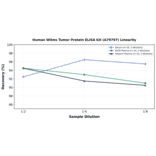 Linearity - Human Wilms Tumor Protein ELISA Kit (A79797) - Antibodies.com