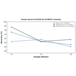Linearity - Human Aurora B ELISA Kit (A79822) - Antibodies.com