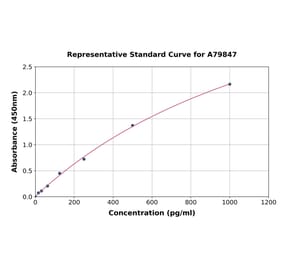 Standard Curve - Mouse LBP ELISA Kit (A79847) - Antibodies.com