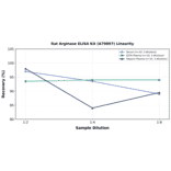 Linearity - Rat Arginase ELISA Kit (A79897) - Antibodies.com