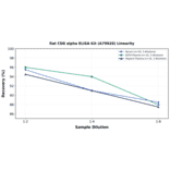Linearity - Rat CD8 alpha ELISA Kit (A79928) - Antibodies.com