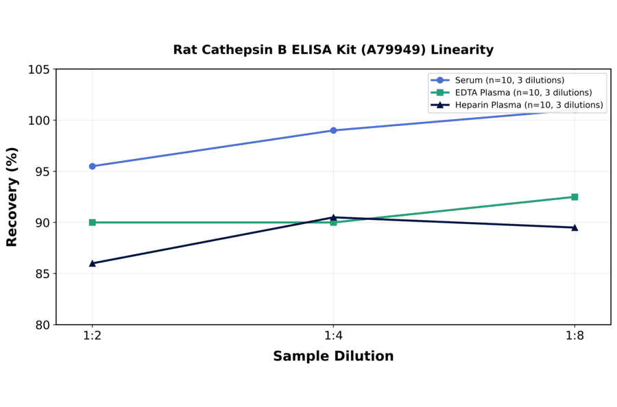 Linearity - Rat Cathepsin B ELISA Kit (A79949) - Antibodies.com