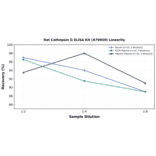 Linearity - Rat Cathepsin G ELISA Kit (A79950) - Antibodies.com