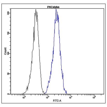 Flow Cytometry - Anti-PKC alpha Antibody - Antibodies.com (A8294)