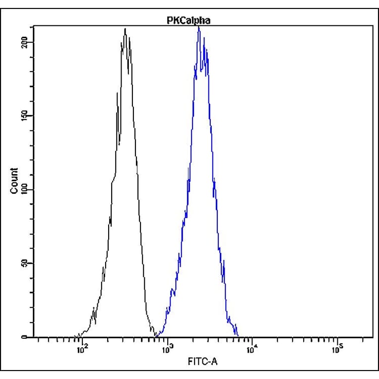 Flow Cytometry - Anti-PKC alpha Antibody - Antibodies.com (A8294)