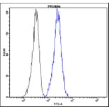 Flow Cytometry - Anti-PKC alpha Antibody - Antibodies.com (A8294)