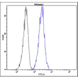 Flow Cytometry - Anti-PKC beta I Antibody - Antibodies.com (A8295)