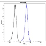 Flow Cytometry - Anti-PKC beta II Antibody - Antibodies.com (A8296)