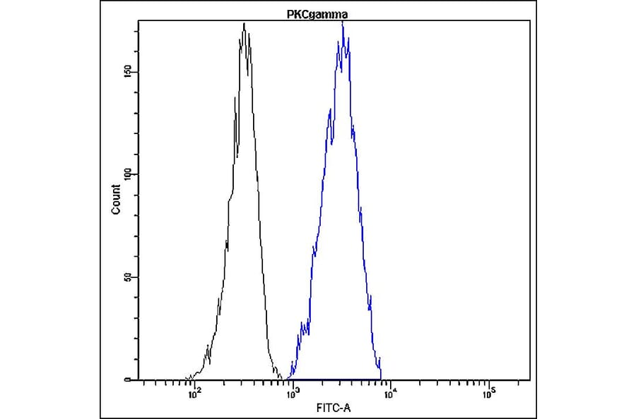 Flow Cytometry - Anti-PKC gamma Antibody - Antibodies.com (A8297)