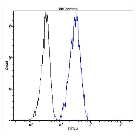 Flow Cytometry - Anti-PKC gamma Antibody - Antibodies.com (A8297)