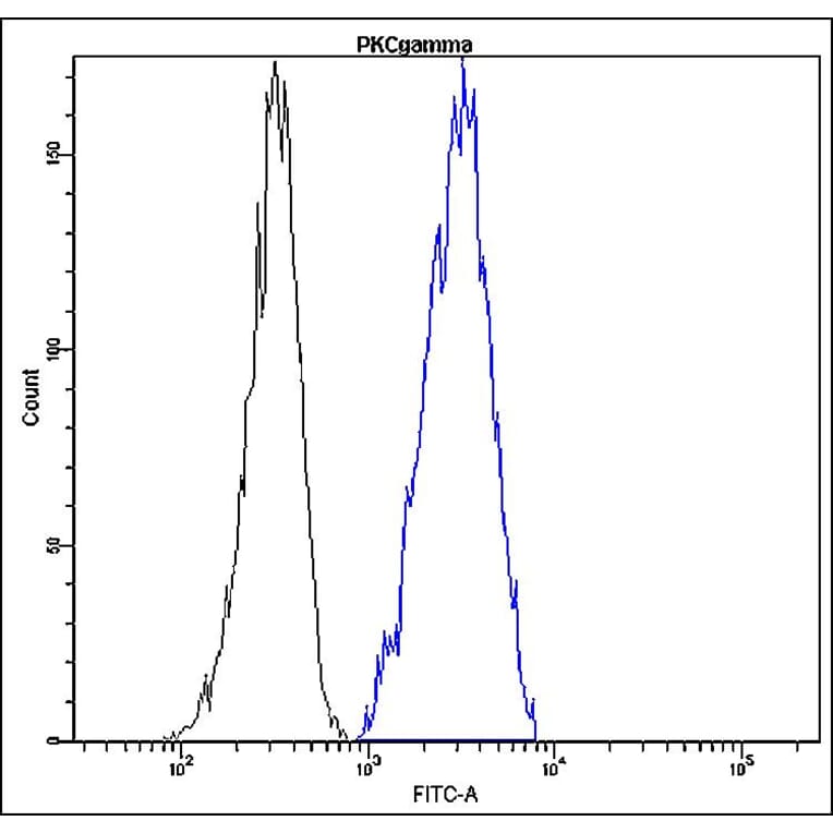 Flow Cytometry - Anti-PKC gamma Antibody - Antibodies.com (A8297)