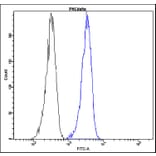 Flow Cytometry - Anti-PKC delta Antibody - Antibodies.com (A8298)