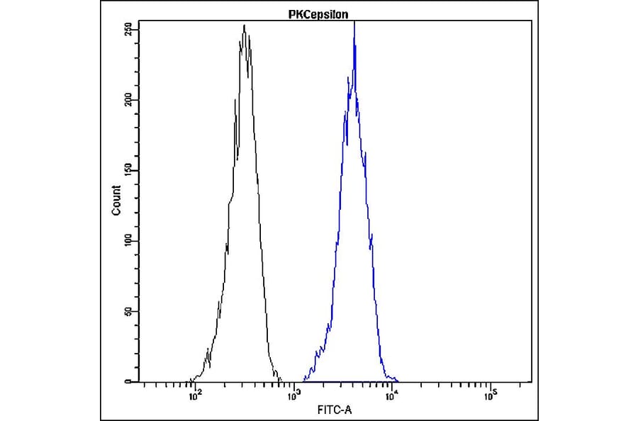 Flow Cytometry - Anti-PKC epsilon Antibody - Antibodies.com (A8299)