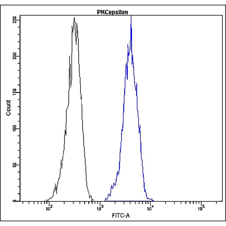 Flow Cytometry - Anti-PKC epsilon Antibody - Antibodies.com (A8299)