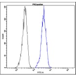 Flow Cytometry - Anti-PKC epsilon Antibody - Antibodies.com (A8299)