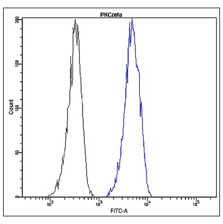 Flow Cytometry - Anti-PKC zeta Antibody - Antibodies.com (A8300)