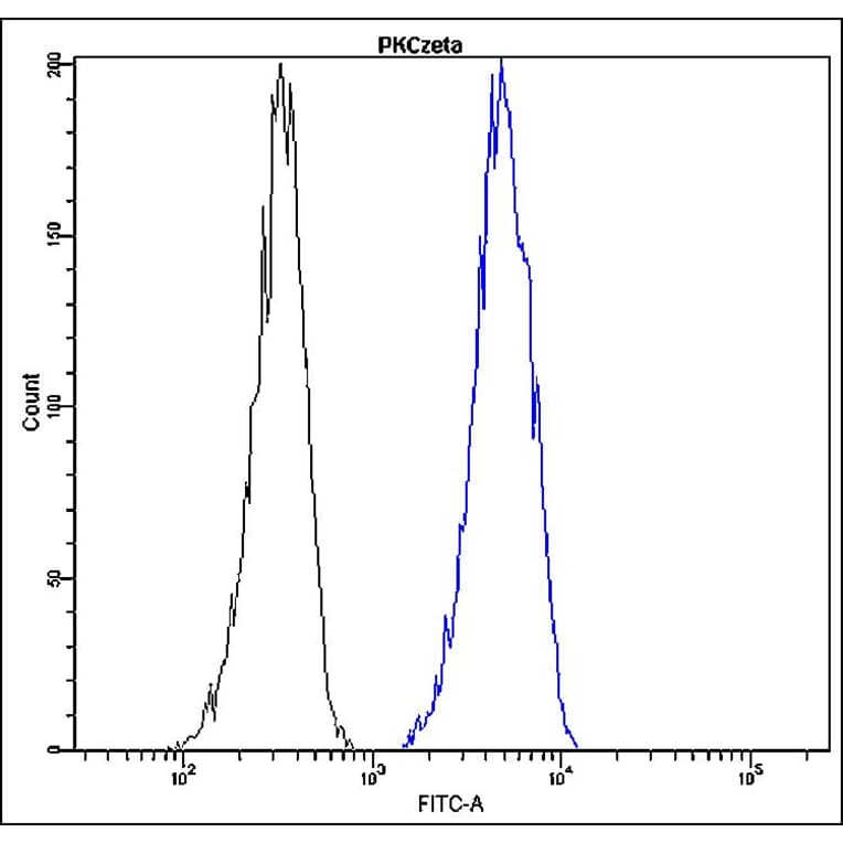 Flow Cytometry - Anti-PKC zeta Antibody - Antibodies.com (A8300)