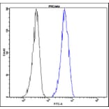 Flow Cytometry - Anti-PKC zeta Antibody - Antibodies.com (A8300)