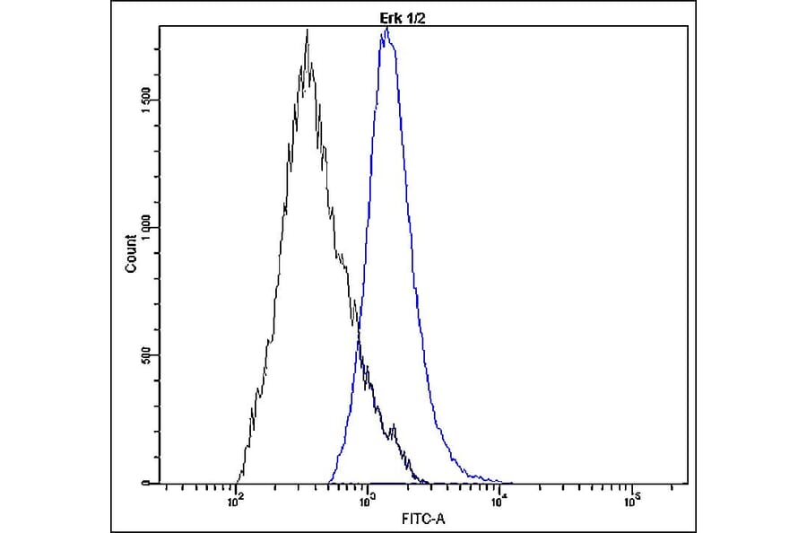 Flow Cytometry - Anti-Erk1 + Erk2 Antibody - Antibodies.com (A8301)