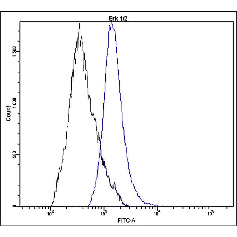 Flow Cytometry - Anti-Erk1 + Erk2 Antibody - Antibodies.com (A8301)