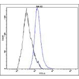 Flow Cytometry - Anti-Erk1 + Erk2 Antibody - Antibodies.com (A8301)