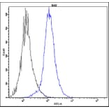 Flow Cytometry - Anti-Bcl2 Antibody - Antibodies.com (A8303)