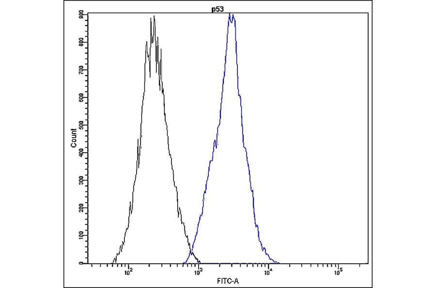 Flow Cytometry - Anti-p53 Antibody - Antibodies.com (A8304)