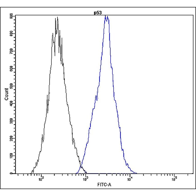 Flow Cytometry - Anti-p53 Antibody - Antibodies.com (A8304)