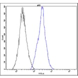Flow Cytometry - Anti-p53 Antibody - Antibodies.com (A8304)