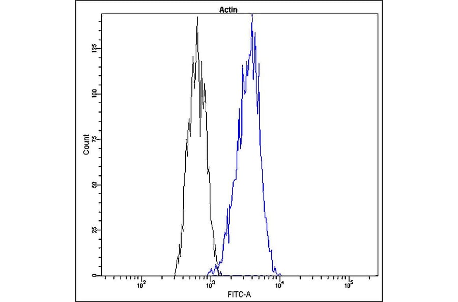 Flow Cytometry - Anti-beta Actin Antibody - Antibodies.com (A8305)