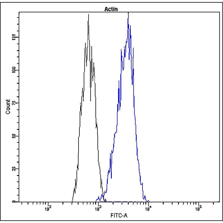 Flow Cytometry - Anti-beta Actin Antibody - Antibodies.com (A8305)