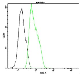 Flow Cytometry - Anti-Cyclin D1 Antibody - Antibodies.com (A8306)